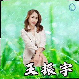 王振宇